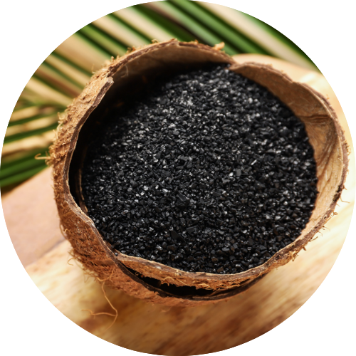 Coconut Shell Carbon